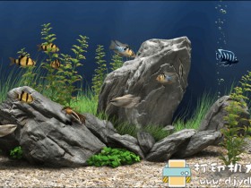 炫酷又好玩的桌面屏保工具：Dream Aquarium Screensaver 1.293 注册版