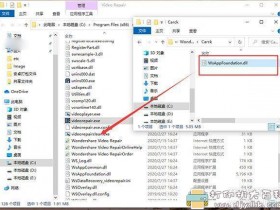 [Windows]万兴视频修复专家 Wondershare Video Repair v1.1.0.13中文vip版
