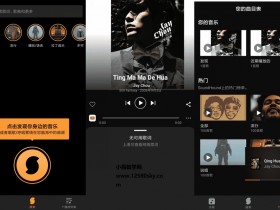 [Android]听歌识曲神器：SoundHound 猎曲奇兵v9.6.0 高级专业版