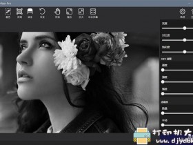 [Windows]AI智能黑白照一键上色软件 Picture Colorizer Pro V2.4.0 汉化版