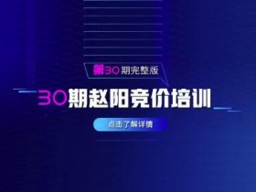 赵阳sem竞价培训 第30期（2020最新）视频课全套 价值3999元