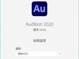 [Windows]音频处理软件：Adobe Audition 2020 (v13.0.8.43) 特别版