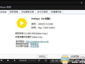 [Windows]视频播放器 PotPlayer v1.7.21273 中文绿色便携版