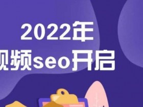 墨子学院2022年抖音seo关键词排名优化技术，三天学活抖音seo【视频教程】