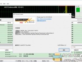 电脑性能优化工具：Process Lasso Pro v9.0.0.452中文直装高级版