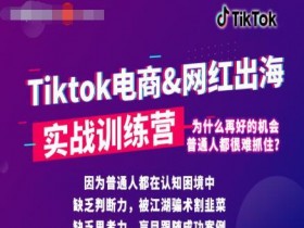 小白也可操作的海外短视频项目，抖音国际版TikTok实战培训课【视频教程】