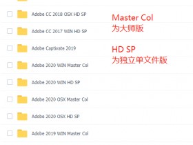 Adobe全家桶 2017-2020 大师版+独立SP版 Win/Mac版本 多国语言