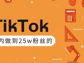 抖音海外版TikTok玩法，打造高权重优质账号，2周张粉25w粉丝【视频教程+讲义】