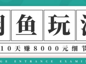 宅男闲鱼项目玩法实战班第12期，操作10天利润8000元细节玩法
