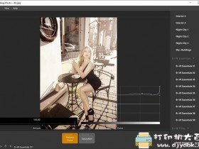 [Windows]照片滤镜工具 CameraBag Photo 2020.30(x64)