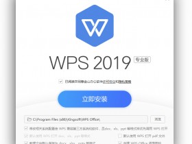 [Windows]WPS Office 2019 专业增强版（目前最新版11.8.2.8959）-含有云版和无云版