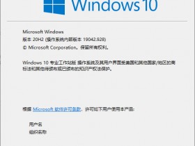 [Windows]【系统镜像】Windows 10 20H2 专业工作站版 - 64 位 - 2021年4月更新 - 19042.928