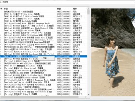 [Windows]美女模特图包下载工具：秀人美图下载v1.0版
