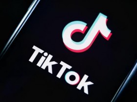 TikTok赚美金特训营第4期，0基础搬运视频上热门变现技术【视频教程】