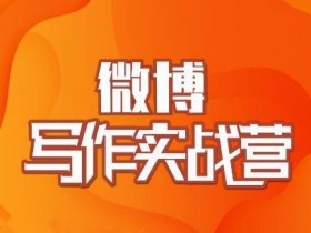 【价值999元】村西边老王·微博超级写作实战营，帮助你粉丝猛涨【视频教程】