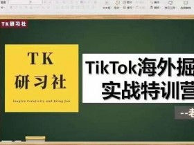 TK研习社·TikTok海外掘金实操特训营：多种变现方式运营实操【视频课程】