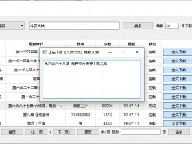 [Windows]PC端小说下载器v1.5.1纯净版