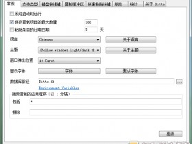 [Windows]剪贴板增强工具 Dittov3.22.88.0中文便携版，可记录历史