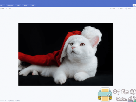 [Windows]PC版美图秀秀 6.4.3.0 去广告单文件版 - 20201202