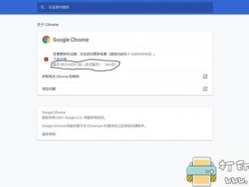 [Windows]Google Chrome谷歌浏览器 v88.0.4324.182.x64 中文绿色便携版（2021年2月16日新版）