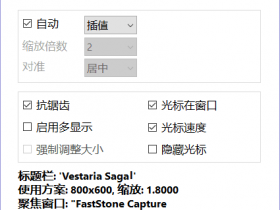 [Windows]窗口无损缩放神器 Lossless Scaling 1.3.3 官方中文版