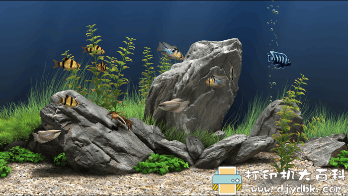 炫酷又好玩的桌面屏保工具：Dream Aquarium Screensaver 1.293 注册版 配图